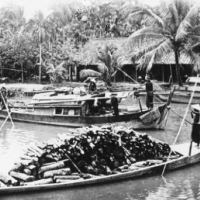 Chuyến Chặt Củi Cuối Cùng - Nguyễn Văn Tới